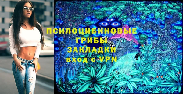 молекула духа Алзамай