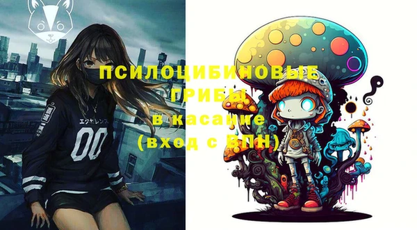 ешки Надым