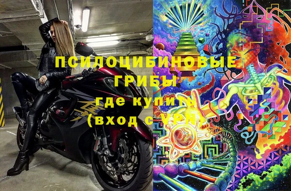молекула духа Алзамай