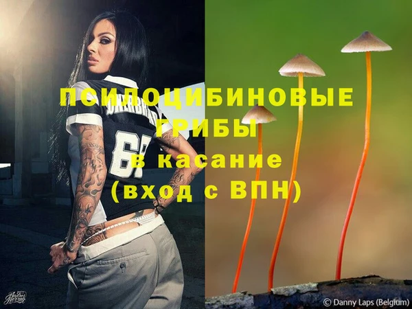 молекула духа Алзамай