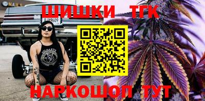 гашик Янаул