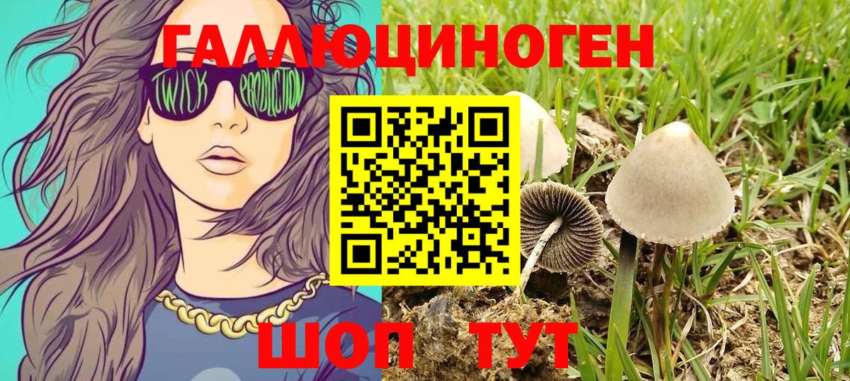 Иркутск  где можно купить   Вход с VPN  Псилоцибиновые грибы MAGIC MUSHROOMS 