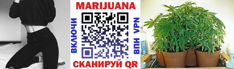 Шишки марихуана THC 21%  Иркутск 